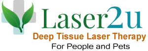Laser2u Logo